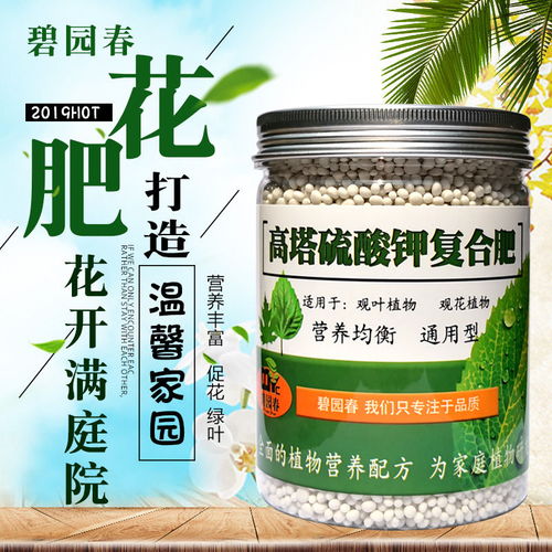 通用花肥與生物質能技術在家庭園藝中的應用