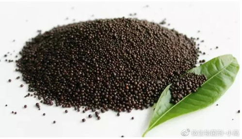 微生物肥料 土壤污染的克星與中國農業的未來