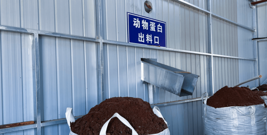 達拉特旗構(gòu)建“五位一體”病死畜禽無害化處理模式，推動生物有機肥料研發(fā)保障食品與生態(tài)安全