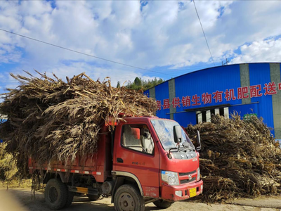 秸稈肥料化利用 從‘包袱’到‘綠色財富’的轉(zhuǎn)變