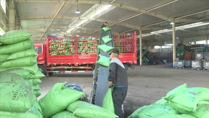 科技賦能綠色農(nóng)業(yè) 定西市生物有機肥料研發(fā)助力農(nóng)業(yè)減肥增效