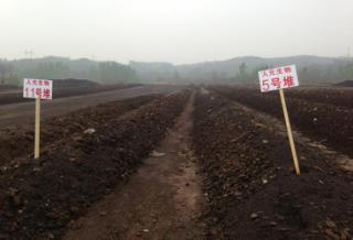 微生物肥料 綠色農(nóng)業(yè)的新引擎，生物質(zhì)能技術(shù)服務(wù)的市場(chǎng)價(jià)值